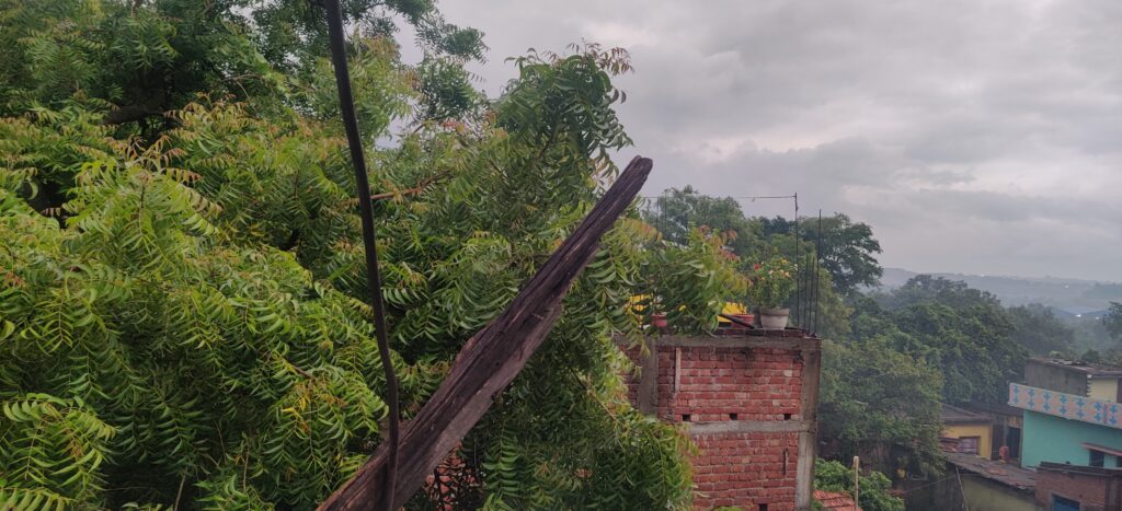 Jharkhand Rainy View